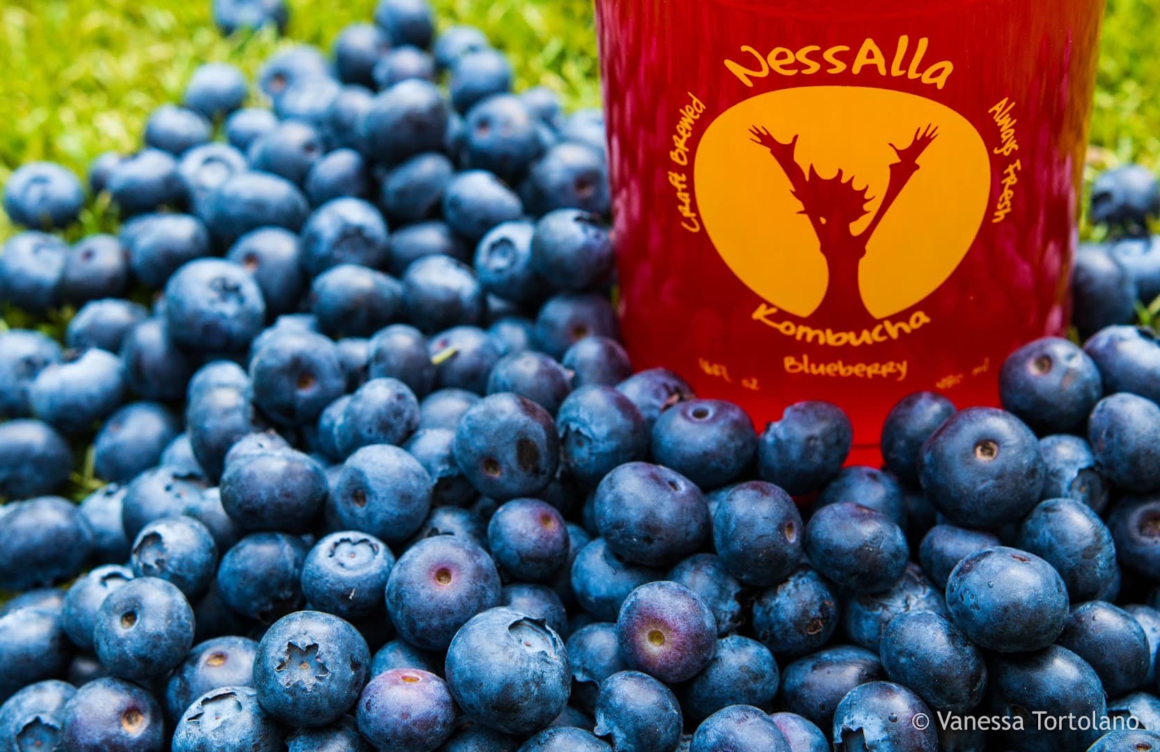 Photo of NessAlla Kombucha