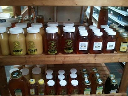 Photo of Treehouse For Earths Children Holistic Center