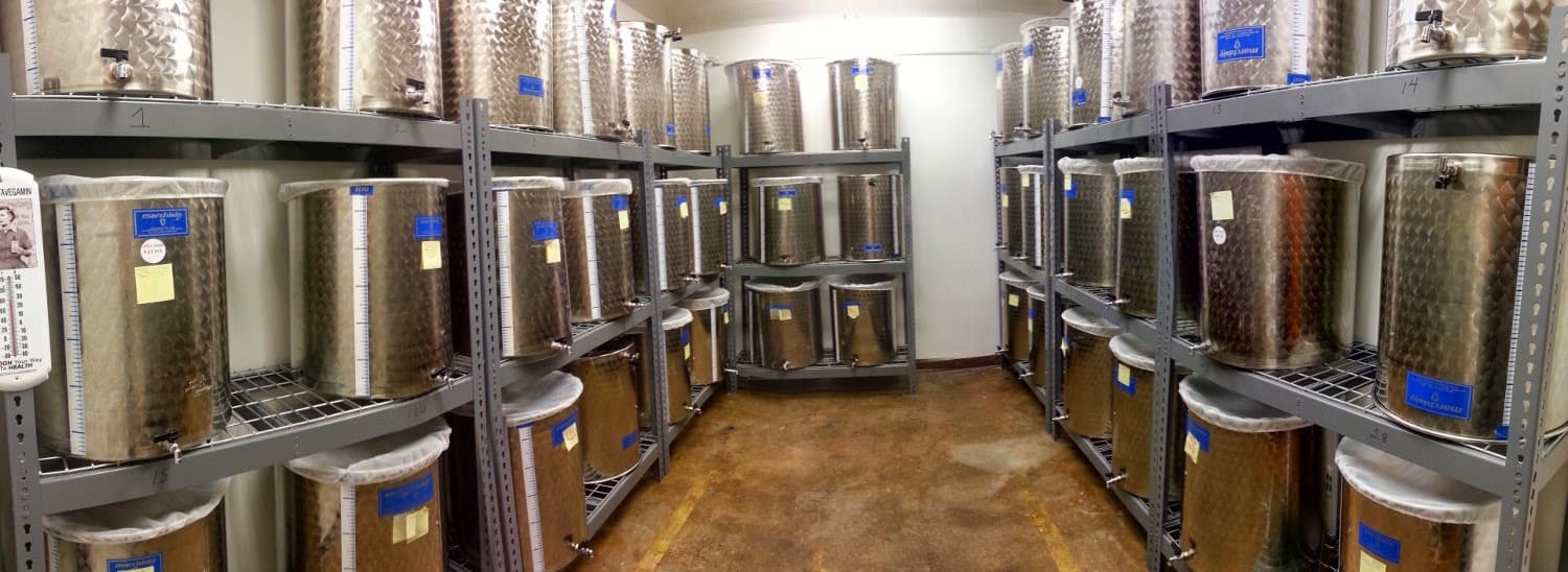 Photo of Magic Mushroom Kombucha