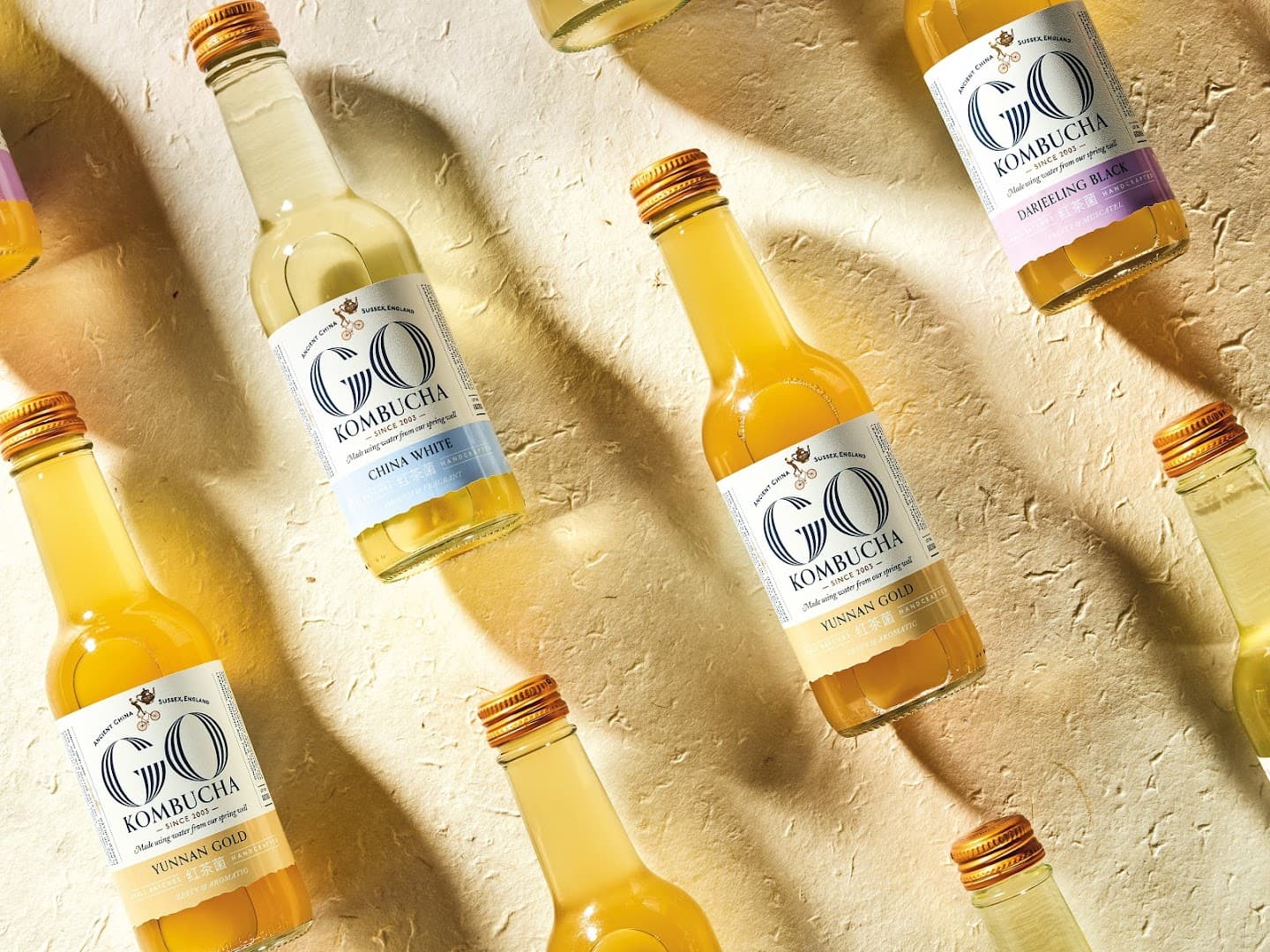 Photo of Kombucha Tampa