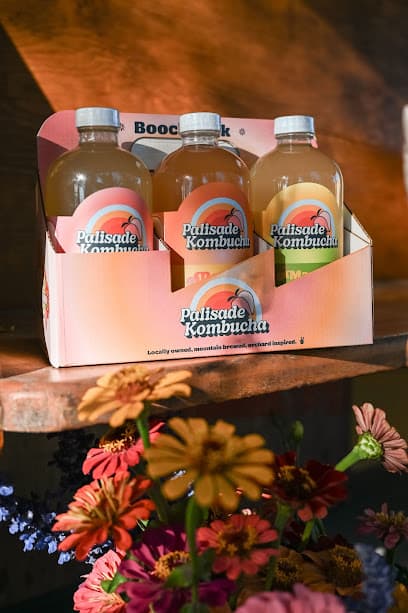 Photo of Palisade Kombucha
