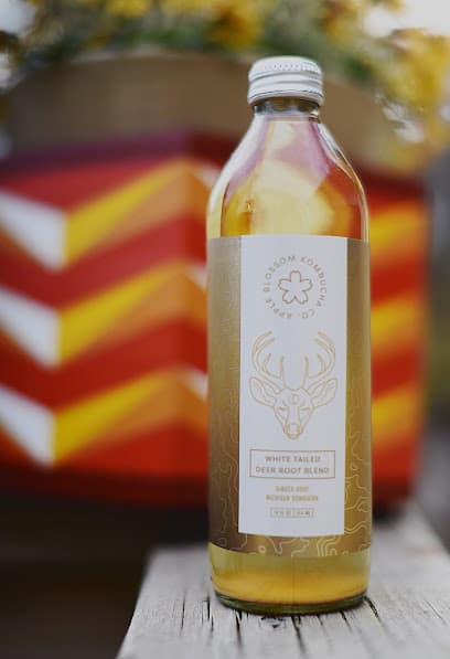 Photo of Apple Blossom Kombucha Co.