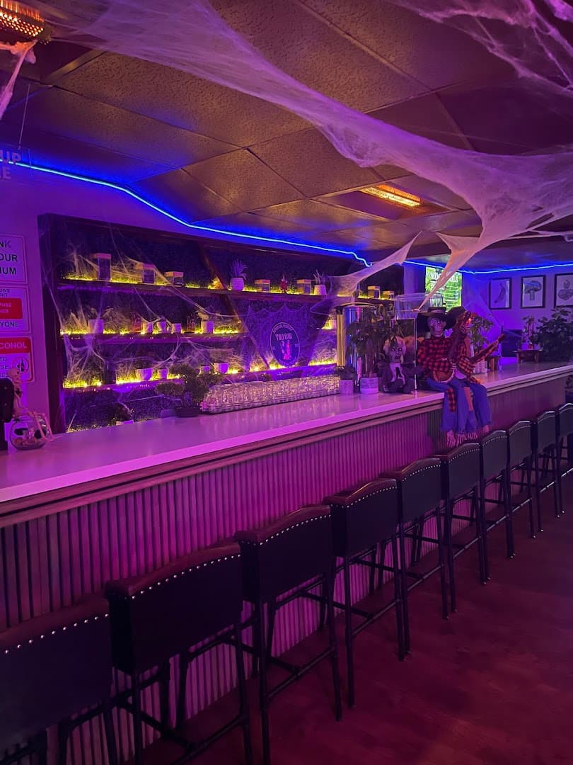 Photo of Kava Lounge LA