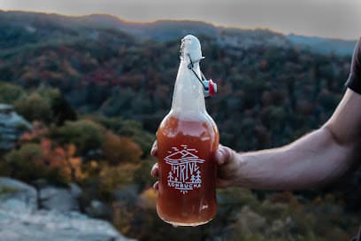 Photo of Thrive Brew Kombucha Co