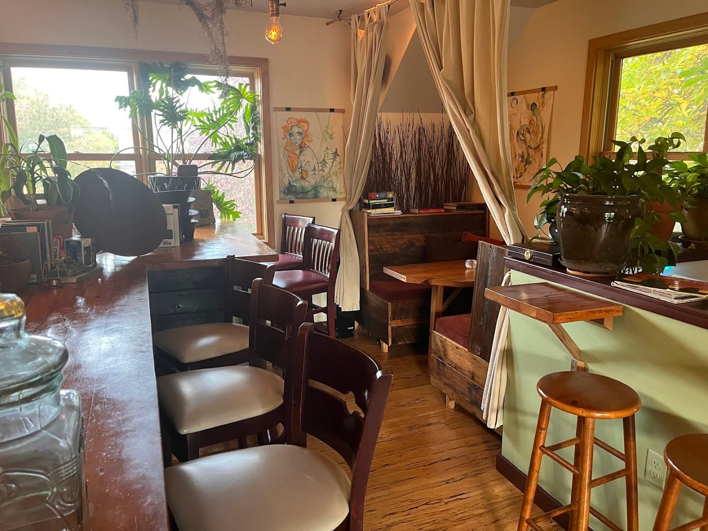 Roots and Leaves: Peak Kava