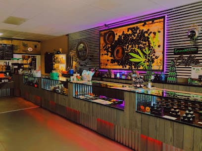 Photo of Kava & Company - Mandarin