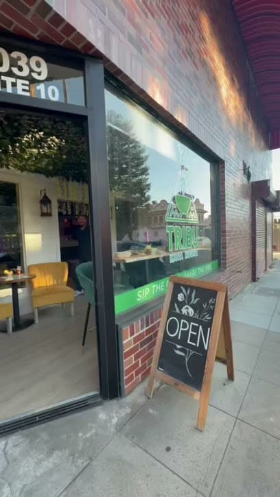 Photo of Tribu Kava Bar