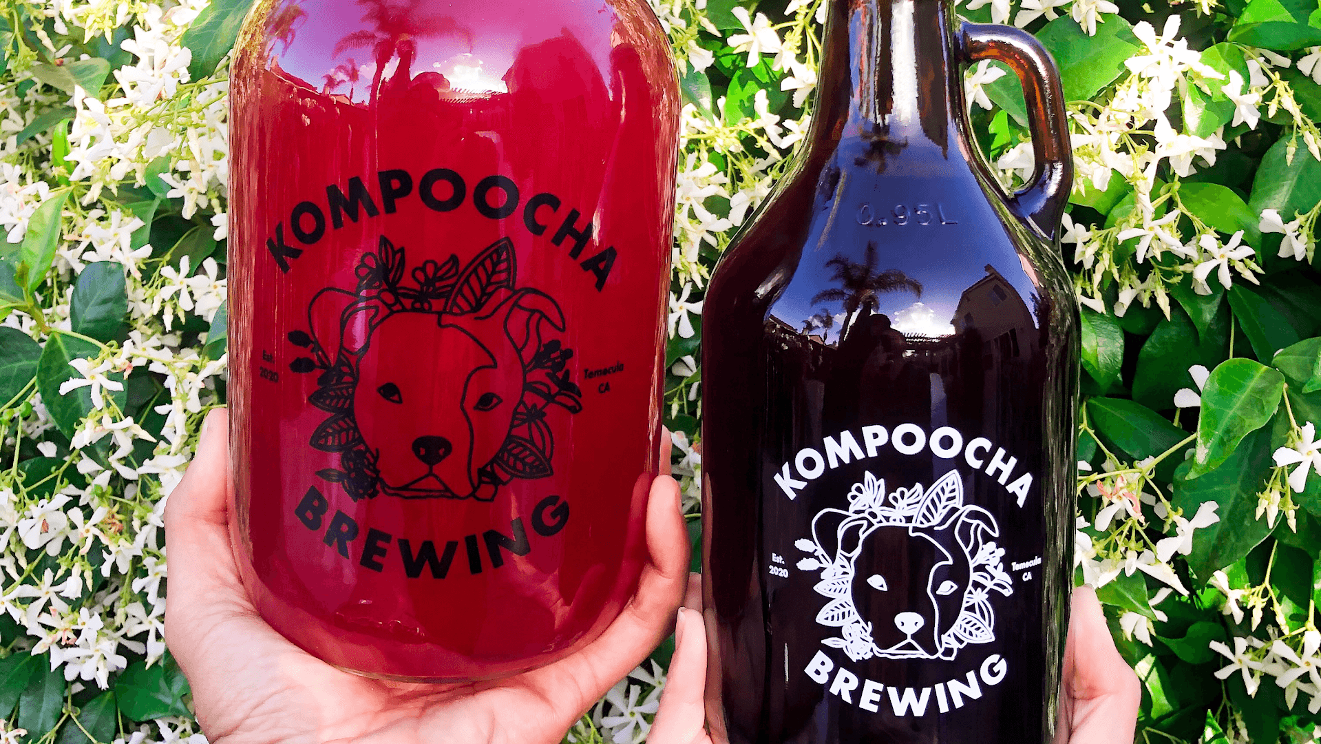 Photo of Kompoocha - Non-alcoholic Kombucha