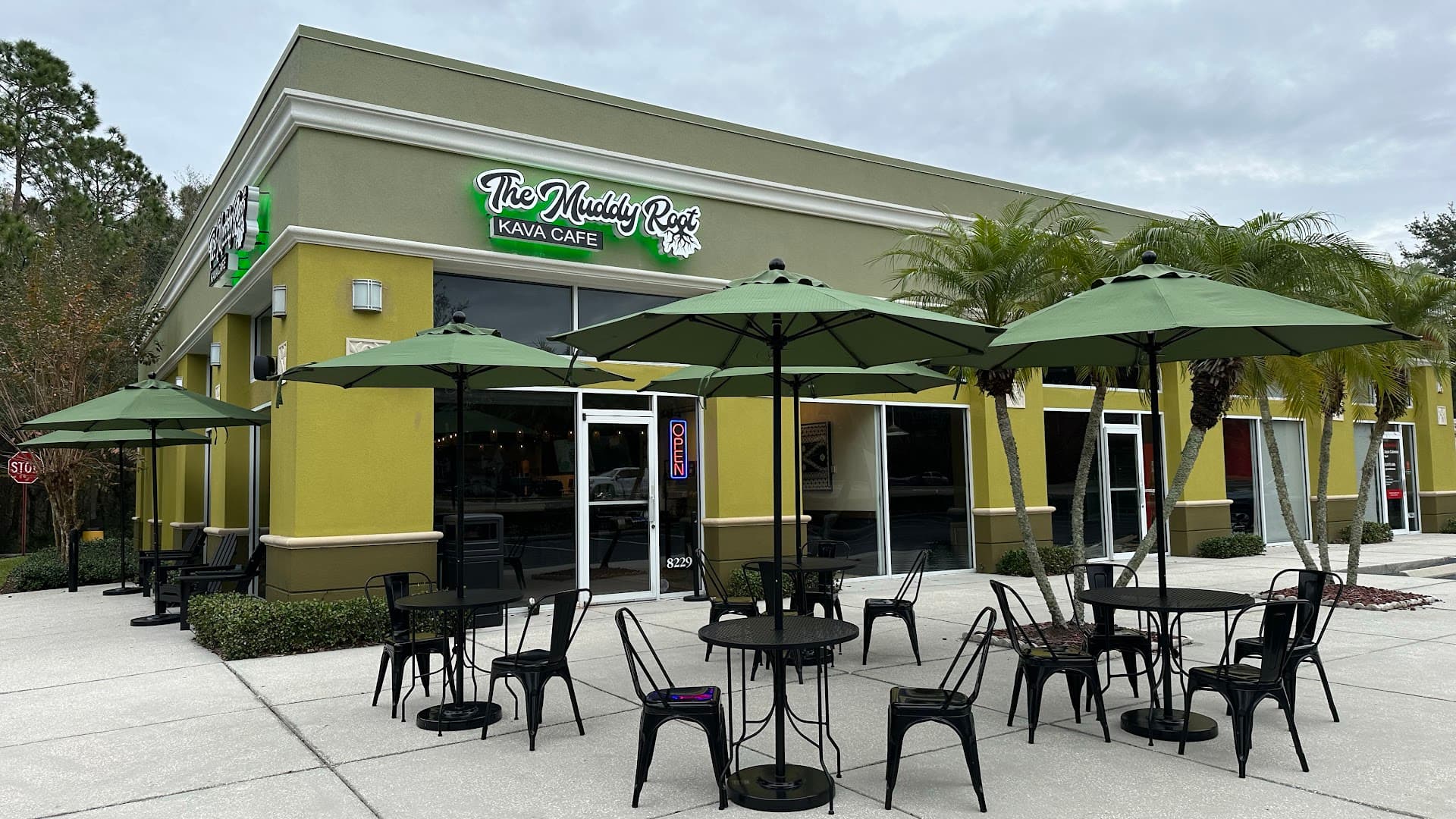 Photo of The Muddy Root Kava Cafe