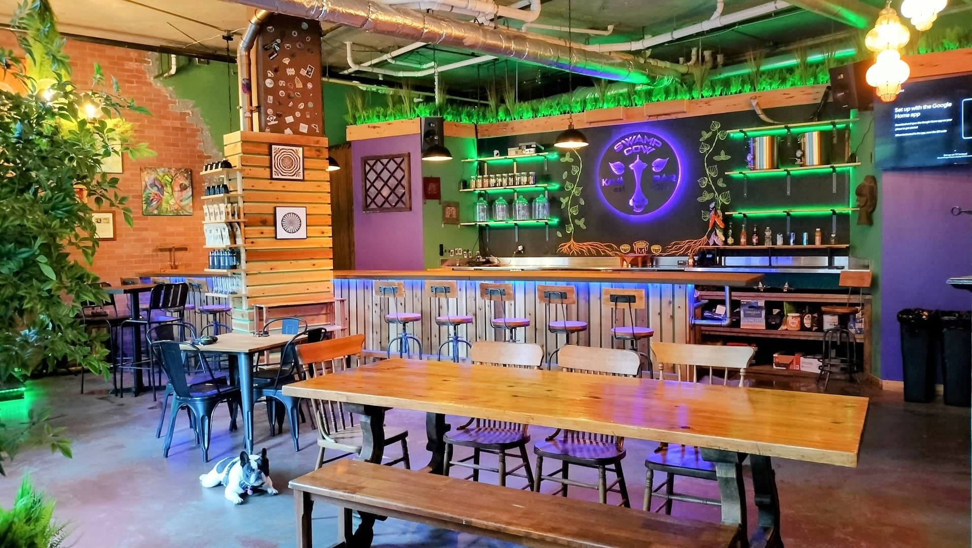 Photo of Swamp Cow Kava Lounge