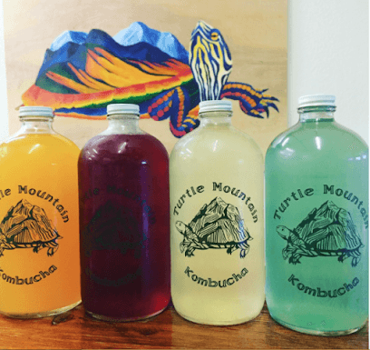 Photo of Turtle Mountain Fermentery - Kombucha Taproom