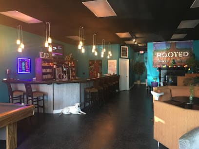 Photo of Rooted Kava Lounge
