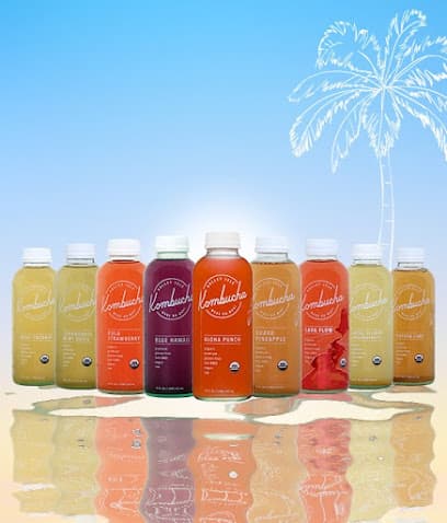 Photo of VALLEY ISLE KOMBUCHA | Raw Premium Kombucha