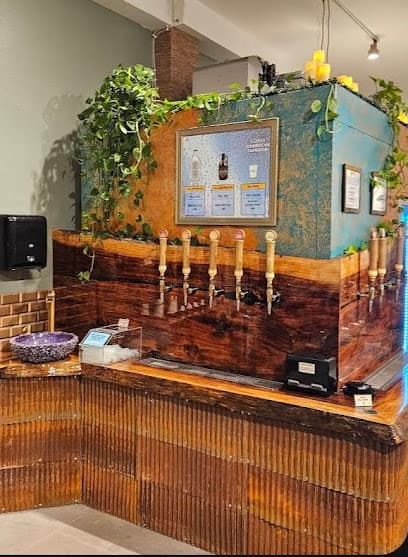 Photo of SOMA Kombucha Taproom